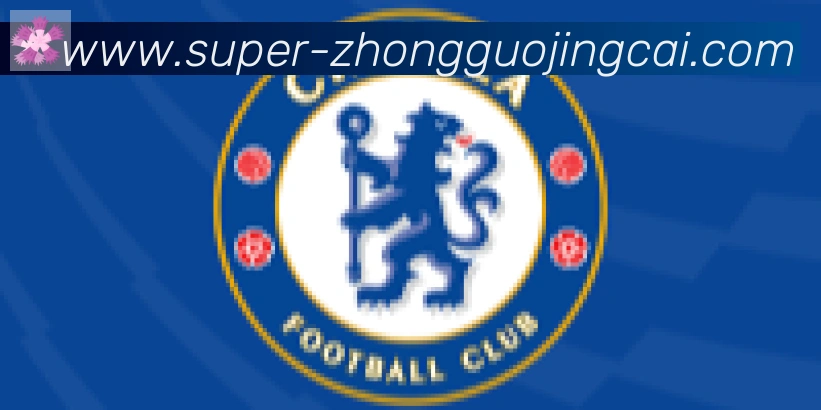 中国竞彩网合作伙伴
